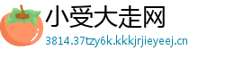 小受大走网
